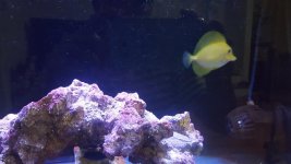 20181118_192045.jpg