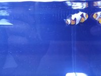 20170306_215411.jpg