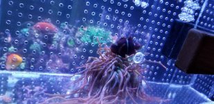 20180417_194123.jpg