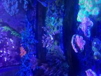 IMG_2506.jpg
