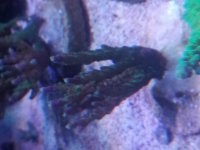 20170809_120548.jpg