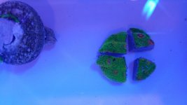 20180417_151946.jpg