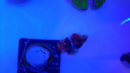 20180417_151940.jpg