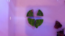 20180417_151926.jpg