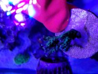 20170809_145530.jpg