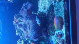 20170904_162018.jpg