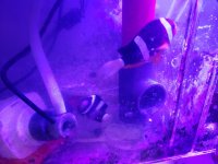 20180415_222619.jpg