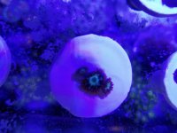 20171104_145904.jpg
