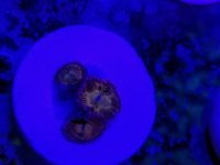 20171104_145815.jpg