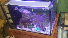 20181111_181419.jpg