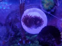 20171104_145658.jpg