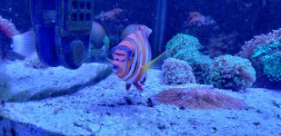 20180421_152859.jpg