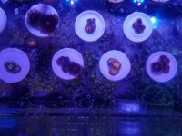 20171104_145506.jpg