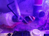 20180415_222943.jpg