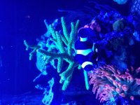 20171024_201137.jpg