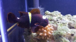 20180417_221340.jpg