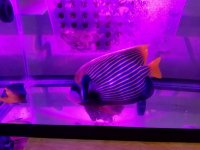 20181114_145103.jpg