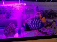 20181114_145101.jpg