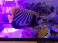 20181114_145334.jpg