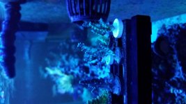 20180903_154215.jpg