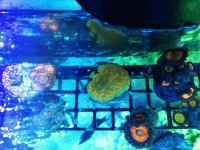 IMG_20180129_231740.jpg