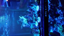 20180903_154238.jpg