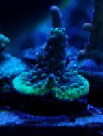 20180902_220323.jpg