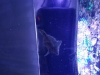 20180201_024143.jpg