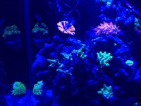 IMG_6483.JPG