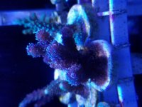 20171105_121614.jpg