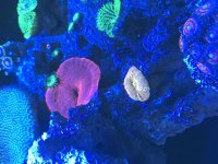 802A1302-D274-4D8F-8BA5-7C94F4F4958C.jpg