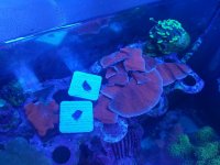 20170527_130947.jpg