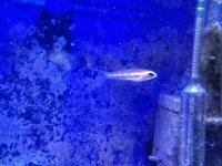 20170802_205135.jpg
