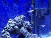 20170802_205022.jpg