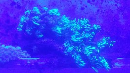 20171105_135159.jpg