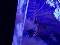 20170719_195059[245].jpg