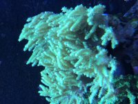 07B41B8C-80B3-41A6-A17A-489E90C9C753.jpg