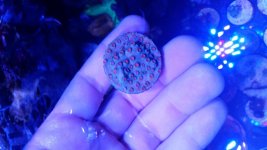 20170810_201446.jpg