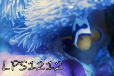 IMG_9280.JPG
