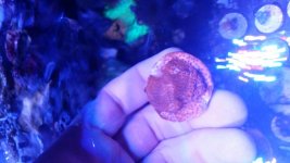 20170810_201521.jpg
