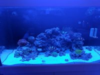 IMG_20161224_163028.jpg
