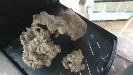 20180418_133439.jpg