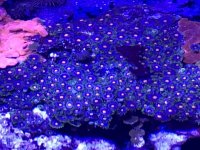 1648E709-F838-4DF9-9708-AAF0DE20BE6A.jpg