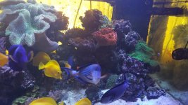 20180822_175734.jpg