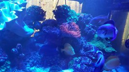 20180822_115616.jpg