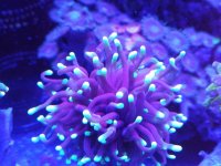 IMG_20181122_213924.jpg
