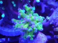 IMG_20181122_213938.jpg