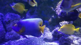 20171215_203054.jpg