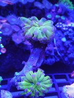 IMG_20181122_213950.jpg