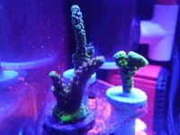 IMG_20181122_214109.jpg